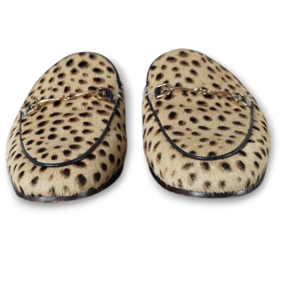 Sam Edelman Leopard Calf Hair Linnie Bit Mule - Blogger Favorite - Picture 2 of 10